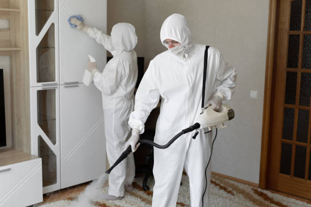24/7 Emergency Sewage Cleanup experts in Milledgeville, IL