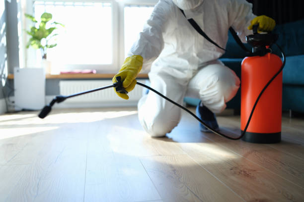 Reliable Sewage Cleanup contractor in Milledgeville, IL by Dulley Family Biohazard Services